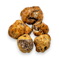 Haufen grober, hellbrauner Tuber Borchii Frühlings-Trüffel für frische Frühlings-Trüffelgerichte