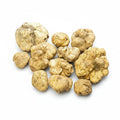 Frische Tuber magnatum weiße Trüffel mit natürlich unregelmäßigen, blassockerfarbenen Oberflächen