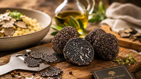 Leitfaden zum schwarzen Trüffel: Tuber melanosporum, Saison, Aroma und Verwendung