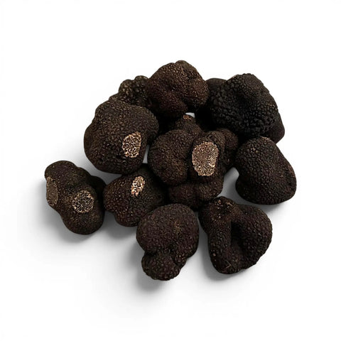 Fresh Tuber indicum Chinese Black Truffles showing natural size and shape variation