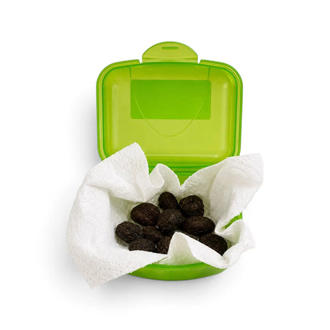 Vacuum-packed whole Tuber aestivum or Tuber uncinatum truffles supplied as canine scent-training material