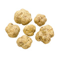 Große frische Tuber magnatum weiße Trüffel mit blass ockerfarbenen Oberflächen und natürlicher Formvariation