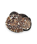 Fresh Winter Tuber Brumale Truffle slice with intricate white veining and natural texture