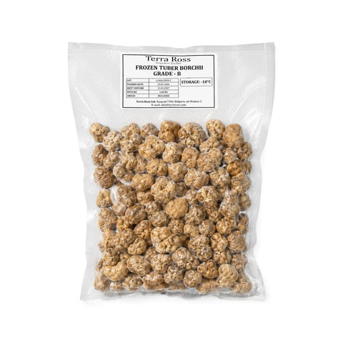 Ganze und angeschnittene gefrorene Bianchetto-Trüffel (Tuber borchii), Qualitätsklasse B, auf weißem Hintergrund