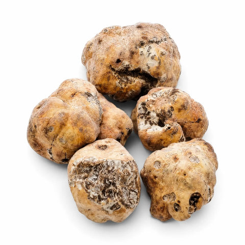 Ganze und angeschnittene gefrorene Bianchetto-Trüffel (Tuber borchii) auf weißem Hintergrund